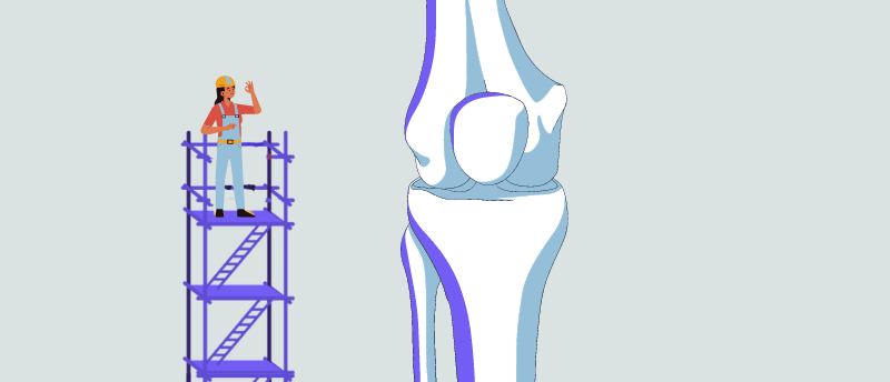 Building Bone from Scratch: an Interview...
