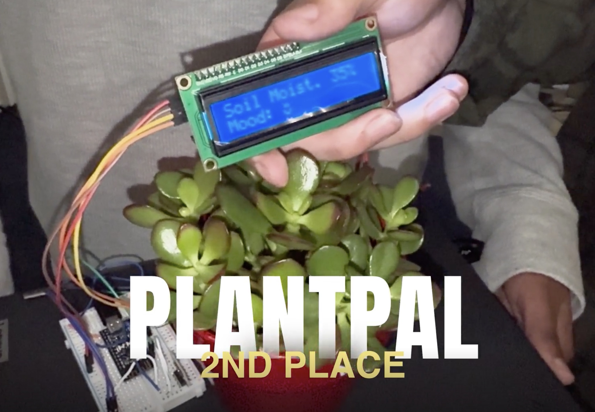 PlantPal senses the condition of a plant and informs through emojis and data. PlantPal senses the condition of a plant and informs through emojis and data.