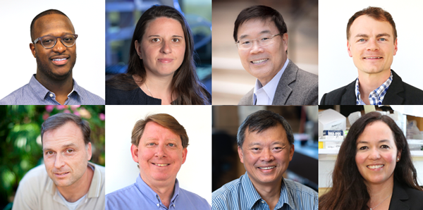 Pictured top row, from left, are Tim Downing, Iryna Zenyuk, Xiaoqing Pan and Joel Lanning; and bottom row, from left, are Jim Brody, Peter Burke, Abe Lee and Michelle Digman