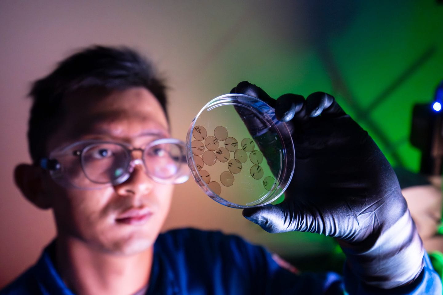 “What we’ve built is essentially a light-powered interface that speaks in electrical and mechanical pulses, the same language as the heart, without any of the drawbacks of rigid electrodes, such as tissue damage or contamination risk over long-term use,” says study co-author Herdeline “Digs” Ardoña, UC Irvine assistant professor of chemical and biomolecular engineering. Steve Zylius / UC Irvine