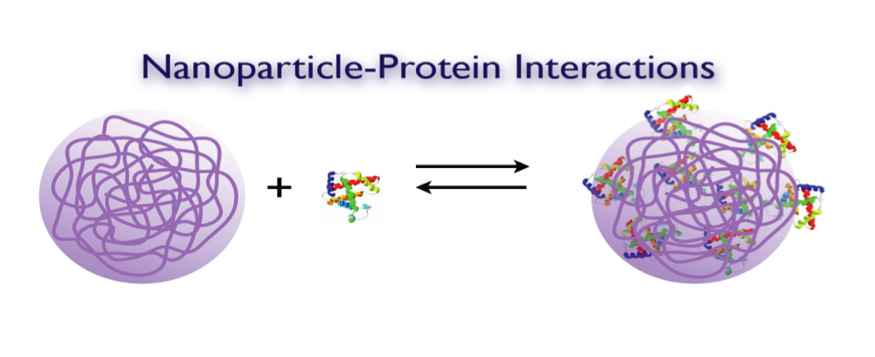 Abiotic Synthetic Polymers