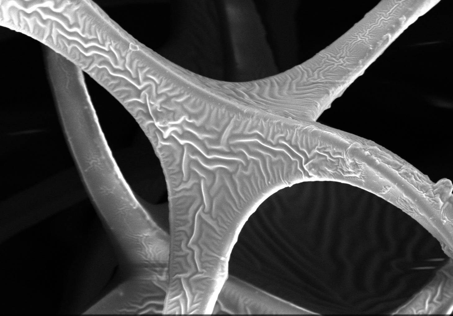 Scanning electron microscopy (SEM) image of IBO microstructure revealing conformal deposition of the conducting polymer on a highly porous matrix.