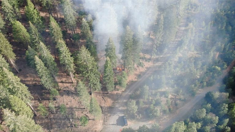 A drone photograph captures the initial stage of a prescribed burn conducted by UCI researchers in April at the Blodgett Forest Research Station in Georgetown, California. Banerjee Lab / UCI