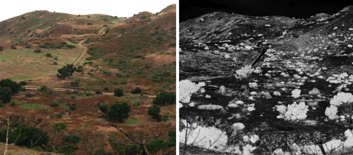 The left image is a Loma Ridge scene captured by the hyperspectral camera. The image on the right represents vegetation health at each pixel by image brightness. Pixels that are the brightest represent the healthiest vegetation.