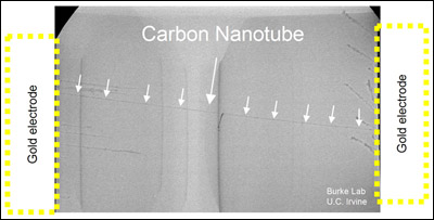 Carbon Nanotube