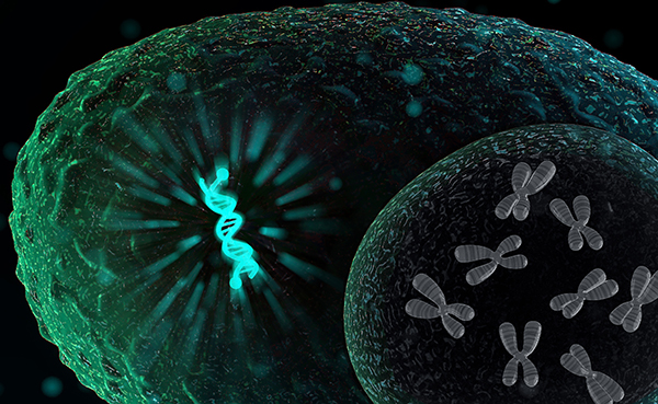 “Antibodies are the ‘magic bullets’ of biology, acting as drugs, molecular sensors for disease diagnosis, frontline therapeutics for outbreaks and fundamental research tools for biomedical discovery,” says Liu.