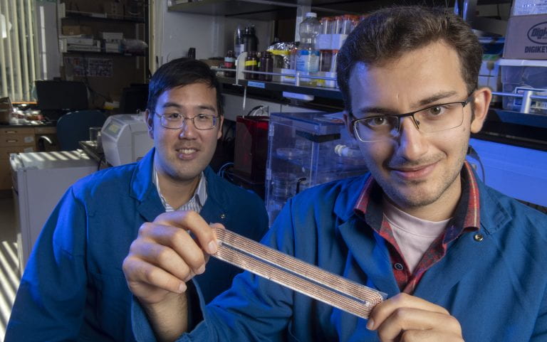 Assistant Professor Electrical Engineering and Computer Science Peter Tseng and Amir Hossein Haji Aghajani Memar Doctoral Student photo: Steve Zylius/UCI