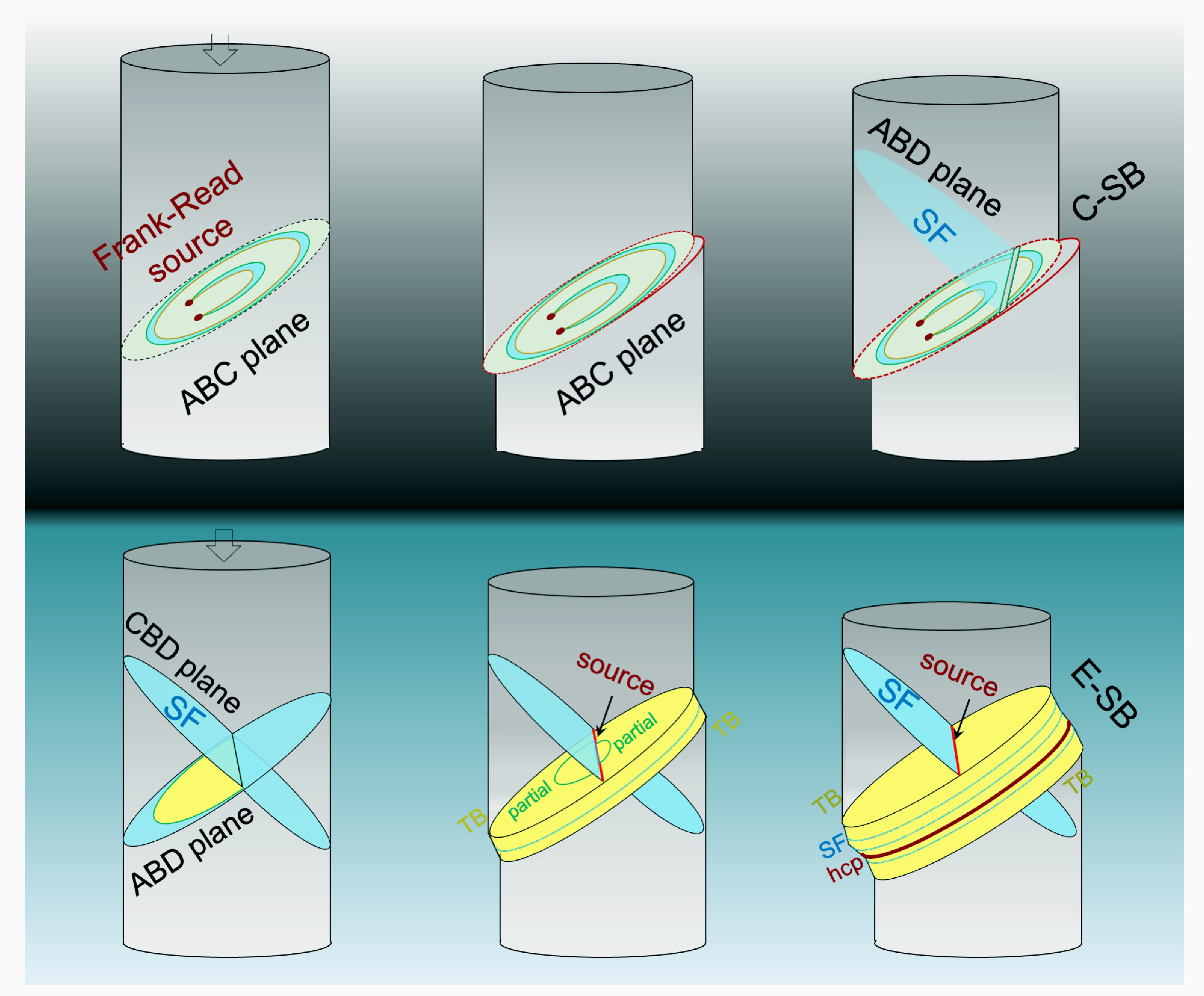 UC Irvine researchers have revealed the divergent evolution of slip banding, the process that creates deformation localization in materials under stress. The top row shows the formation of a confined slip band (C-SB) from a conventional Frank-Read source with localized glide on slip plane ABC. The bottom row displays how an extended slip band (E-SB) is generated through source deactivation and dynamic activation of new sources. This triggers partial slip and the formation of planar defects such as twin boundaries (TB), stacking faults (SF) and hexagonal close-packed (hcp) regions, resulting in band thickening along the ABD plane. Penghui Cao and Hangman Chen / UC Irvine