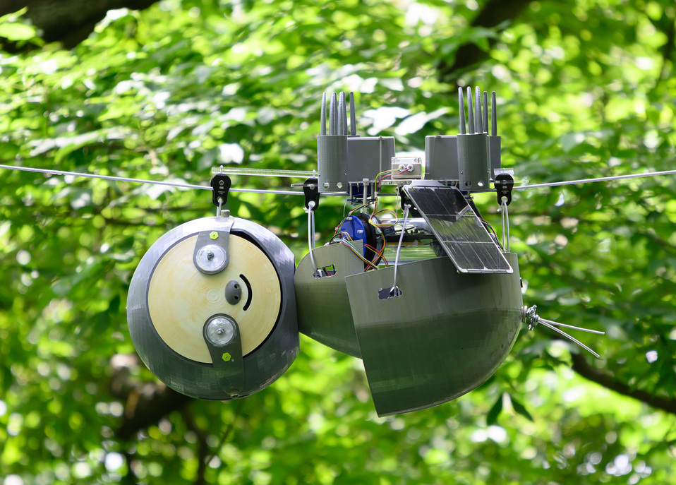 The SlothBot hanging from a tree