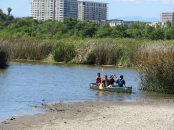 San Joaquin Marsh Reserve