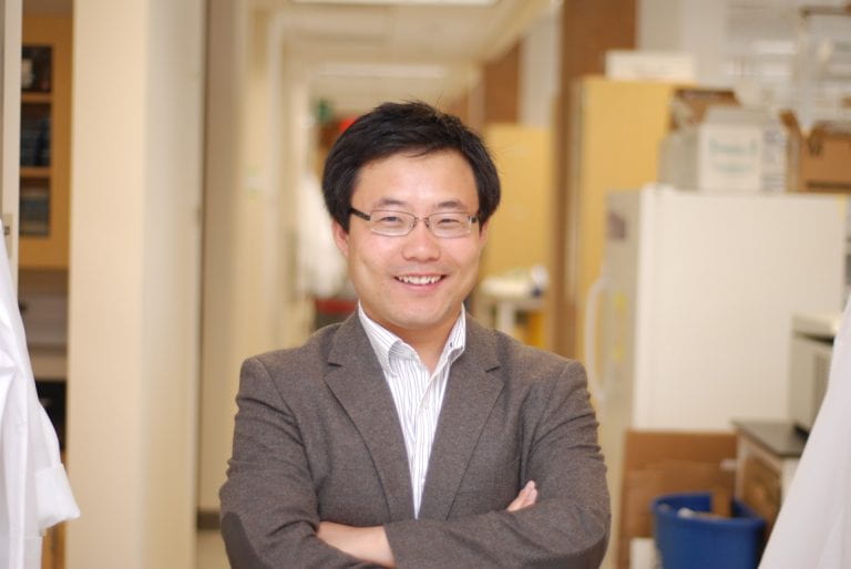 “The MOSAICA technology is a next-generation biopsy tool that will enable scientists and clinicians to simultaneously profile many biomarkers in cells and tissues. The ability to characterize the cellular composition, function and interaction within complex tumors will inform personalized disease diagnosis and therapeutic treatment,” says Weian Zhao, Ph.D., UCI professor of pharmaceutical sciences and study co-corresponding author. School of Pharmacy & Pharmaceutical Sciences / UCI