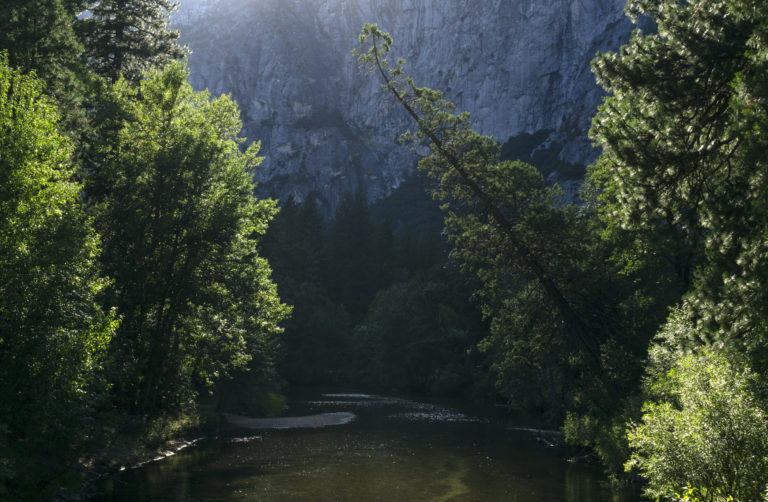 Yosemite National Park is among the sites in the western U.S. that have experienced more frequent and intense wildfires in recent years. Steve Zylius / UCI