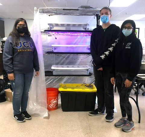 A few of the ZotPonics team members installing the system at the UCI FRESH Basic Needs Hub, from left are Megha Kak, Daniel Lowe and Rashmi Sharma. Megha Kak. 