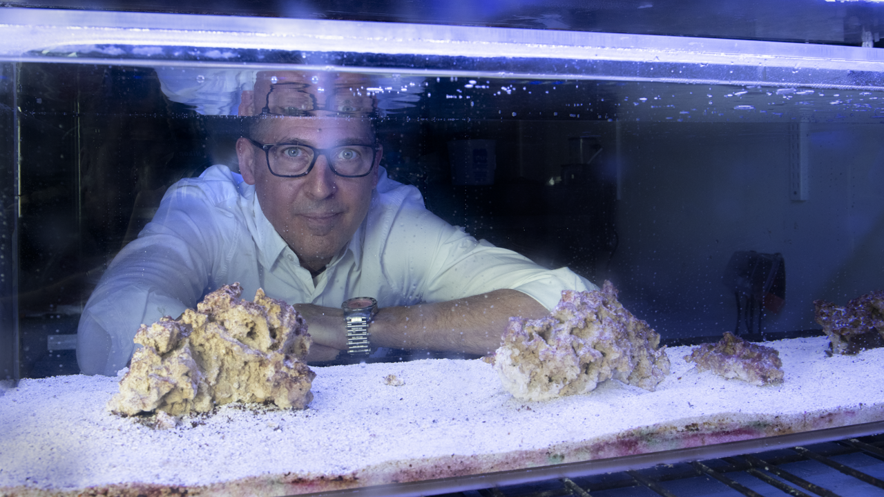 Man standing behind aquarium 